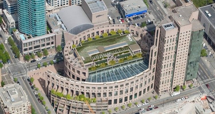 Ecological Library Rooftops