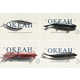 Ocean-Inspired Seafood Branding Image 8