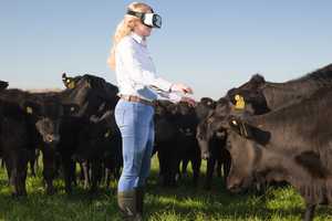 VR Farm Tours