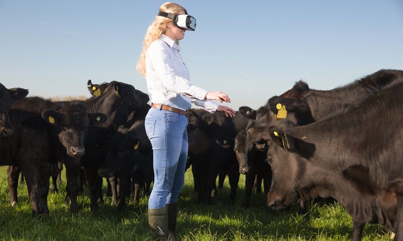 VR Farm Tours