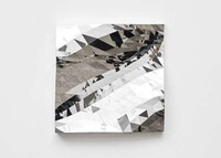 Meshed Algorithm Mirrors Image 2