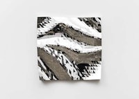 Meshed Algorithm Mirrors Image 4