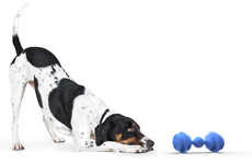 Communicative Dog Toys
