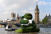 Tea Leaf Topiaries Image 4