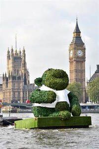 Tea Leaf Topiaries Image 5