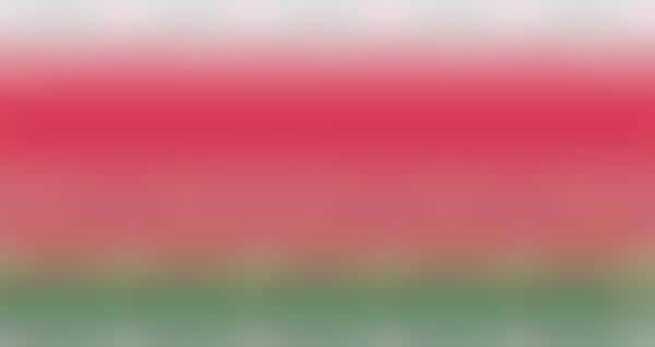 Antioxidant-Rich Watermelon Waters
