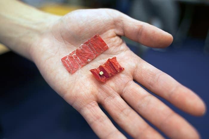 Battery-Removing Ingestible Robots