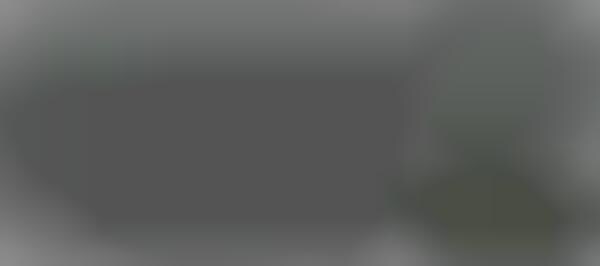 360-Degree Sports Coverage