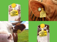 Cow Hide Packaging Image 2