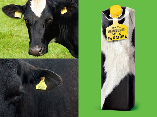 28 Dairy-Free Milks