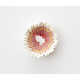 Pencil Shaving Flower Art Image 4