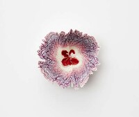 Pencil Shaving Flower Art Image 7