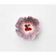 Pencil Shaving Flower Art Image 7