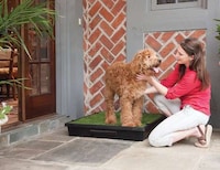 Portable Pet Washrooms Image 3