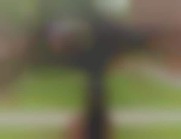 Smartphone Photography Stabilizers