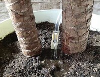Automated Plant Waterers Image 5