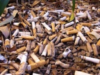 Cigarette Butt Bricks Image 2