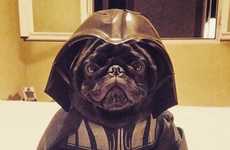 Galactic Dog Parades