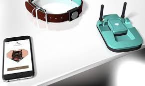 Tracking Pet Health Collars