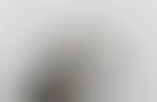 Daunting Disease Campaigns