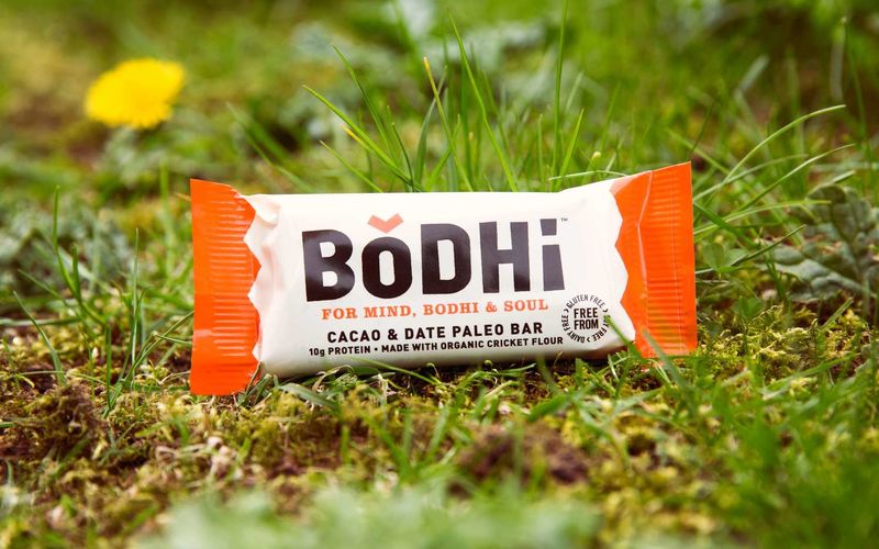 Cricket Flour Protein Bars