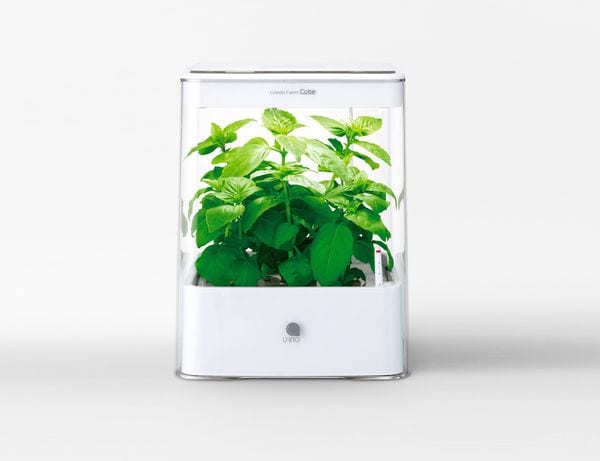 Top 100 Eco Ideas in June