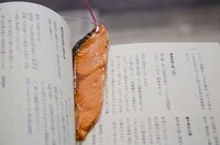 Hyperrealistic Food Bookmarks Image 4