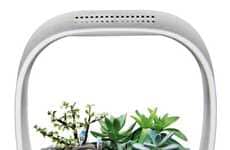 Automated Indoor Plant Gardens