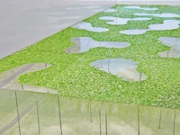 3D-Printed Aquariums Image 3