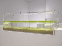 3D-Printed Aquariums Image 4