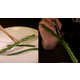 Easily Controlled Chopsticks Image 5