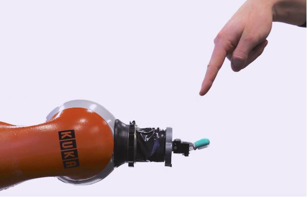 Pain-Sensing Robots