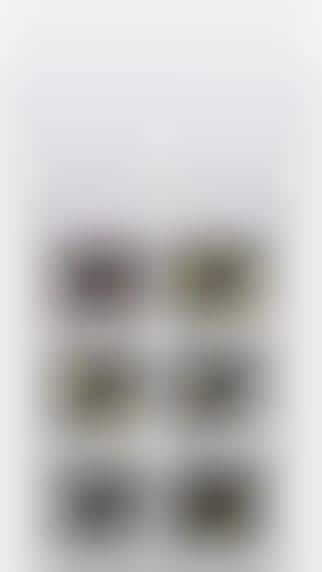 Polaroid Photography Apps