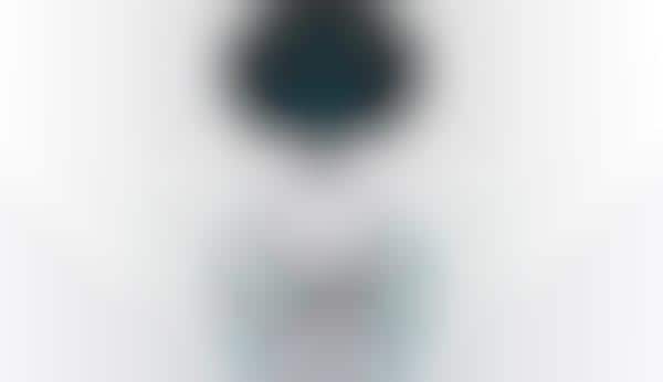 Home Robot Assistants