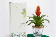 Delicate Aquatic Plant Packaging