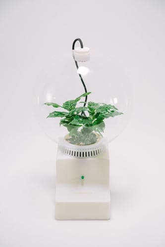 Talking Plant Pods