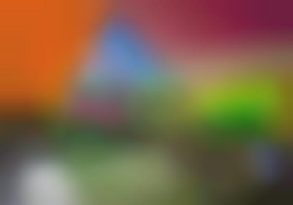 Geometric Rainbow Architecure