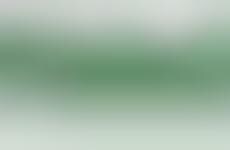 Dedicated Brokerage Apps