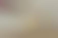 Charming Animal Planters