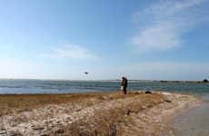 Shark-Spotting Drones