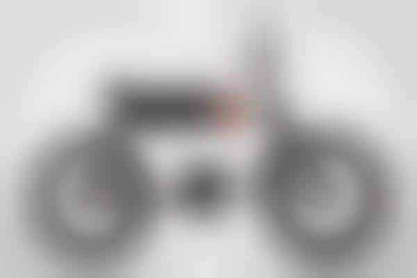 Multi-Terrain Electric Bikes