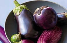 Fleshy Eggplant Hybrids
