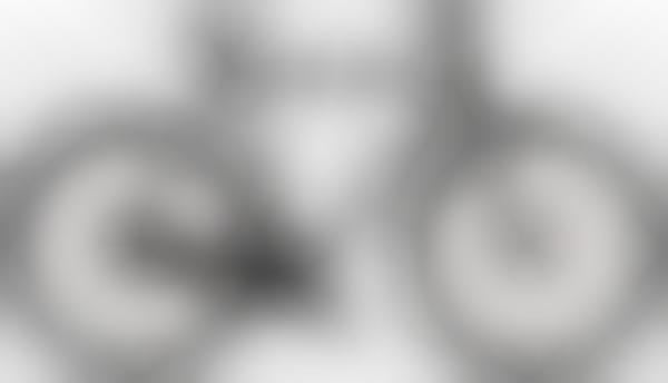 Anti-Theft Smart Bikes