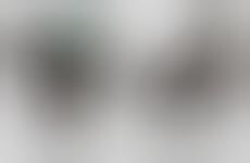 Decorative Bug-Repellant Stands