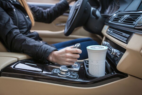 Top 100 Lifestyle Trends in June