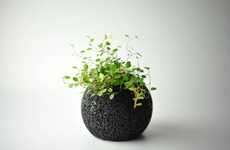 Air-Purifying Planters