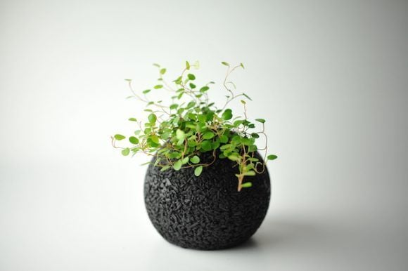 Air-Purifying Planters