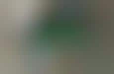 Internet-Curated Print Zines