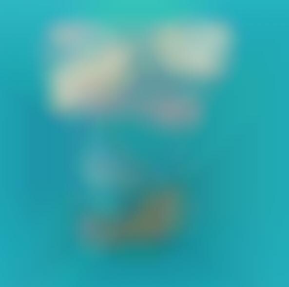 low calorie dog biscuits