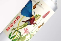 Illustrated Mineral Water Branding Image 2